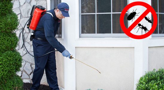 Bayraklı Gümüşkurt İlaçlama böcek ilaçlama ve haşere kontrolü — ilaclama-tr.com